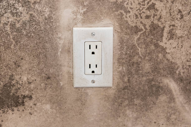 Best Post-Construction Mold Inspection  in Selmont West Selmont, AL