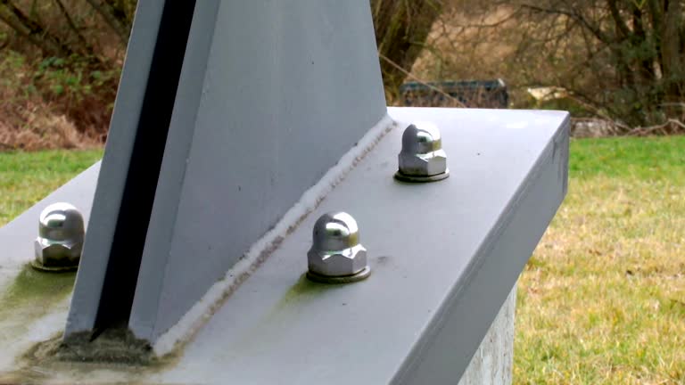 Best Industrial Mold Remediation  in Selmont West Selmont, AL
